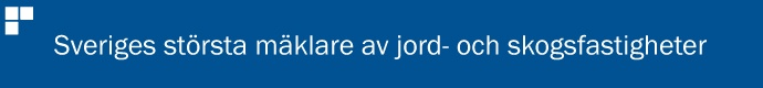 LRF Konsult